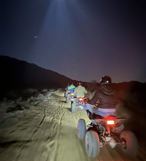 nocturna_67